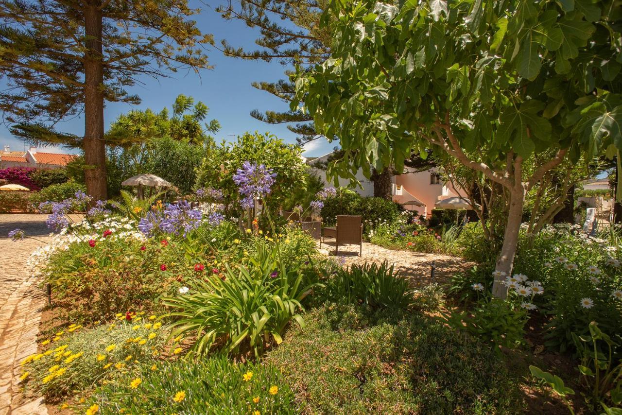 Quinta Paraiso Da Mia - 1 Bedroom Apartment Luz Εξωτερικό φωτογραφία